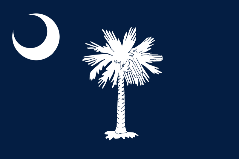 State flag of South Carolina